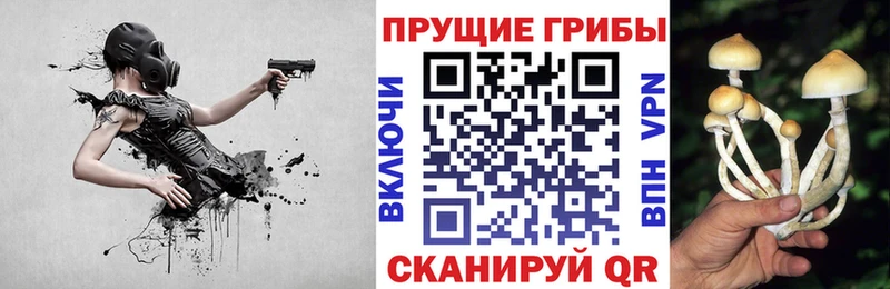 Галлюциногенные грибы GOLDEN TEACHER  Перевоз 
